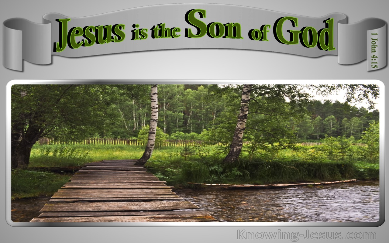 1 John 4:15 Jesus Is The Son Of God (gray)